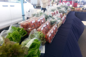 South Common Farmers Market is open May 8th to Thanksgivings