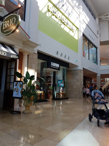 Cosmetics Store «Lush», reviews and photos, 4200 Conroy Rd, Orlando, FL 32839, USA