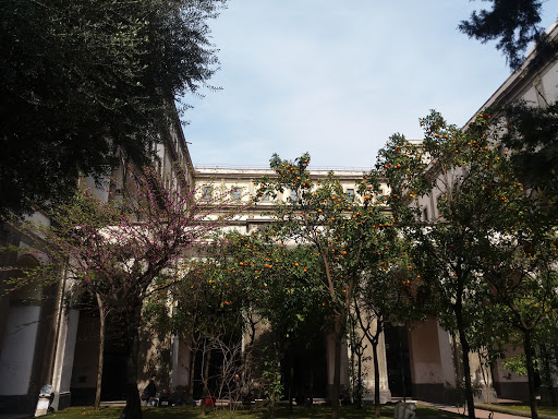 Scuole d'arte Napoli