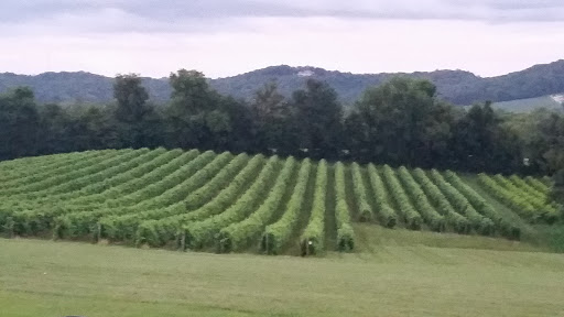 Vineyard «Noboleis Vineyards», reviews and photos, 100 Hemsath Rd, Augusta, MO 63332, USA