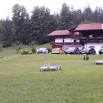 Photo n°2 de l'avis de Thomas.u fait le 11/07/2021 à 08:18 sur le  Alpenhotel Hundsreitlehen à Bischofswiesen