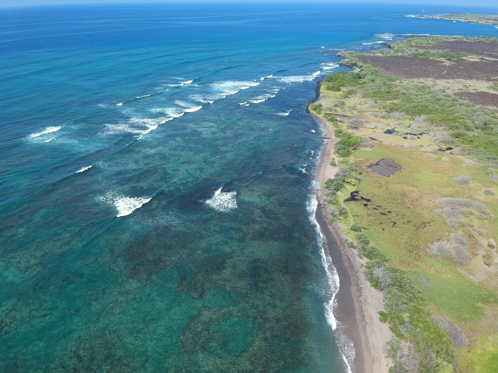 Honokohau Beach'in fotoğrafı biraz temiz temizlik seviyesi ile