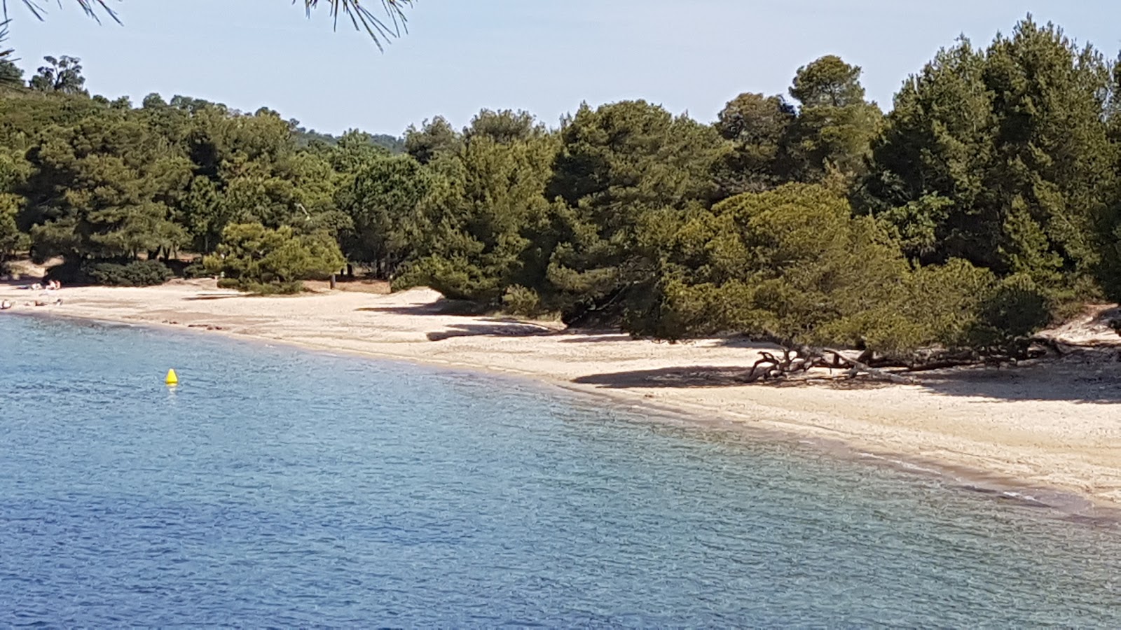 Photo of Pellegrin beach with partly clean level of cleanliness