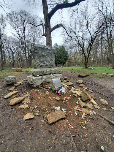 Nature Preserve «Rubio Woods», reviews and photos, W. Midlothian Turnpike, Midlothian, IL 60445, USA
