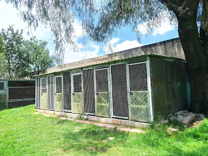 CENTRO DE TRANSFERENCIA CANINA DEL METRO