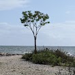 Silver Sands State Park