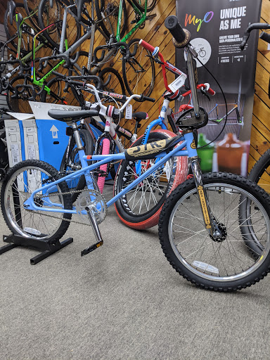Bicycle Store «New Horizons Bikes», reviews and photos, 55 Franklin St, Westfield, MA 01085, USA