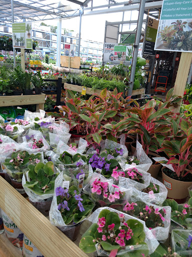 Home Improvement Store «The Home Depot», reviews and photos, 5475 University Pkwy, University Park, FL 34201, USA