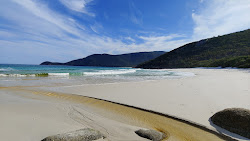Little Waterloo Bay Beach'in fotoğrafı ve güzel manzarası