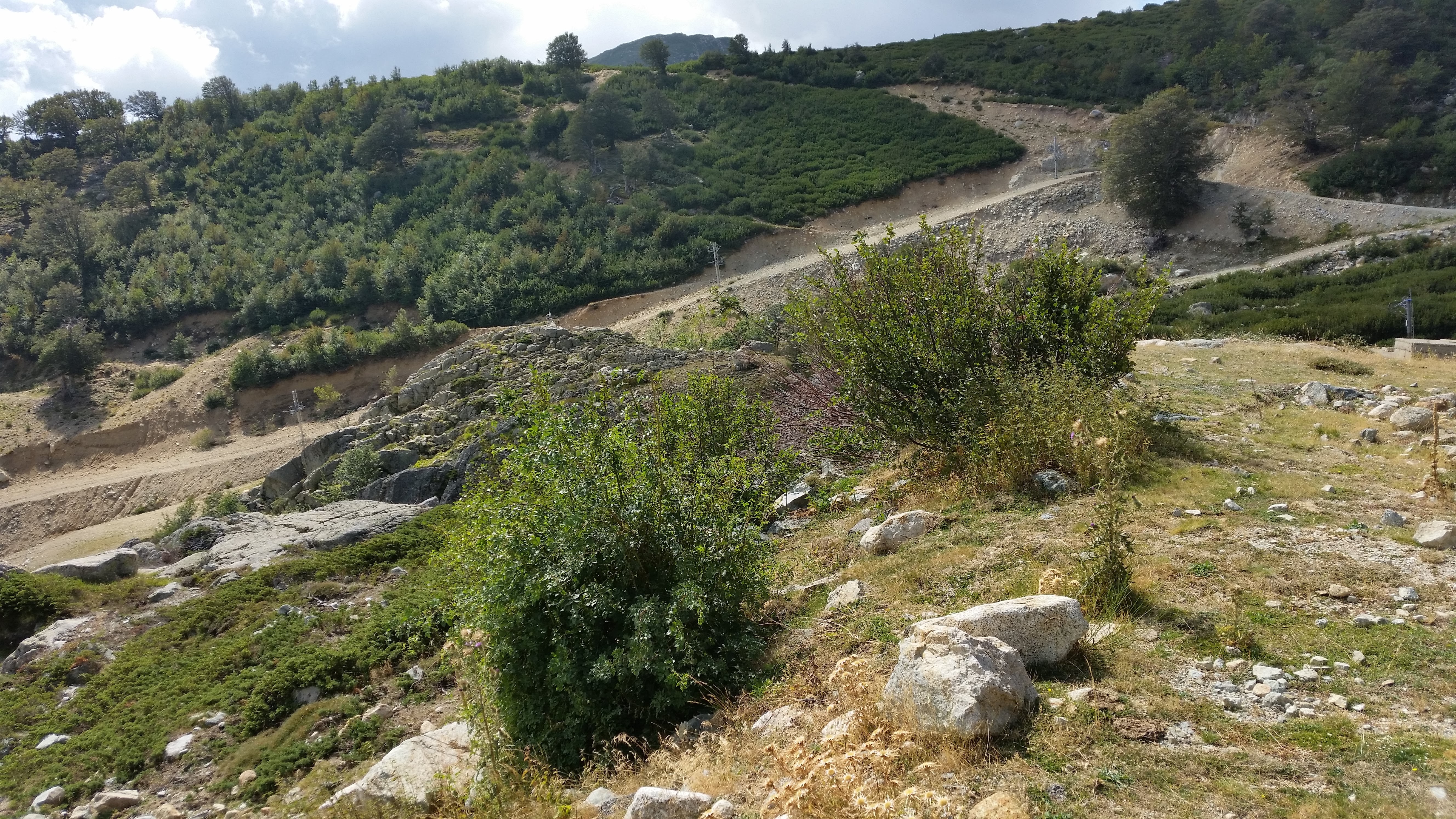 Photo n° 2 de l'avis de philippe.a fait le 02/09/2018 à 18:31