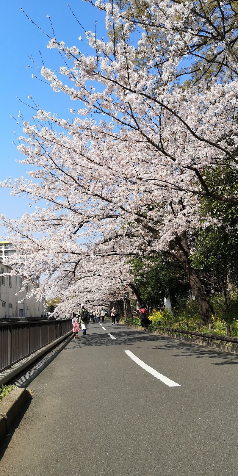 南砂線路公園