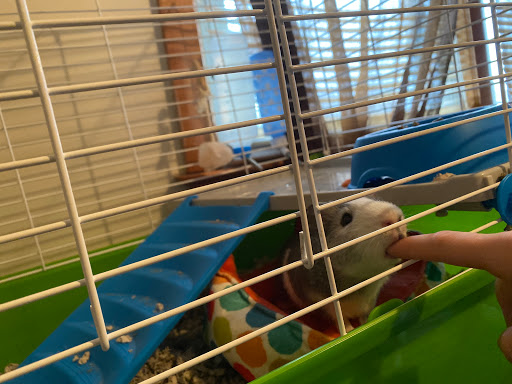 Pet Supply Store «Petco Animal Supplies», reviews and photos, 1065 Kennedy Rd, Windsor, CT 06095, USA