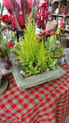 Garden Center «Copia Home and Garden», reviews and photos, 475 Smith Ridge Rd, South Salem, NY 10590, USA