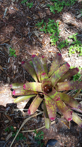 Golf Club «Manatee County Golf Course», reviews and photos, 6415 53rd Ave W, Bradenton, FL 34210, USA