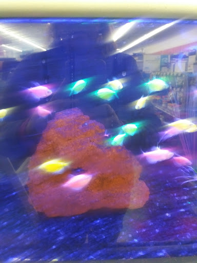 Pet Supply Store «Petco Animal Supplies», reviews and photos, 200 McMahan Blvd, Marion, OH 43302, USA