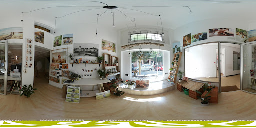 Street View y 360°