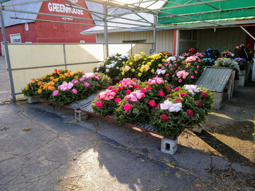 Florist «Pinters Flowerland», reviews and photos, 6830 Rawsonville Rd, Belleville, MI 48111, USA