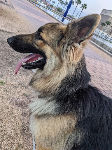 Convention Center «McAllen Convention Center», reviews and photos, 700 Convention Center Blvd, McAllen, TX 78501, USA