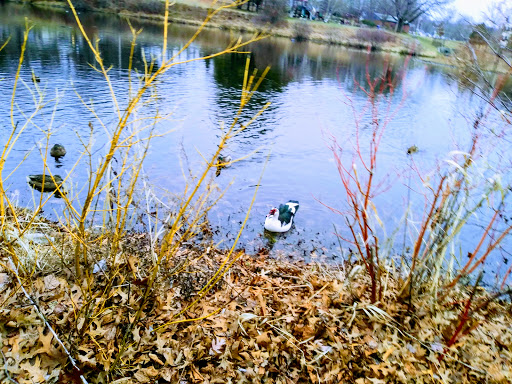 Park «Cass Park», reviews and photos, Cass Avenue, Woonsocket, RI 02895, USA