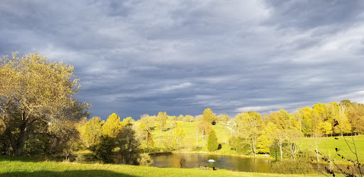 Golf Course «Hickory Sticks Golf Club», reviews and photos, 3812 Painter Rd, California, KY 41007, USA