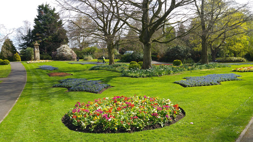 Musgrave Park, Belfast