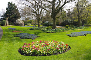 Musgrave Park, Belfast