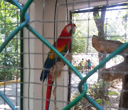 Papagayo-Zoo photo