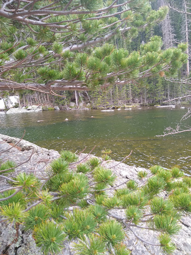 Sightseeing Tour Agency «Aspire Tours», reviews and photos, 6275 W 38th Ave, Wheat Ridge, CO 80033, USA