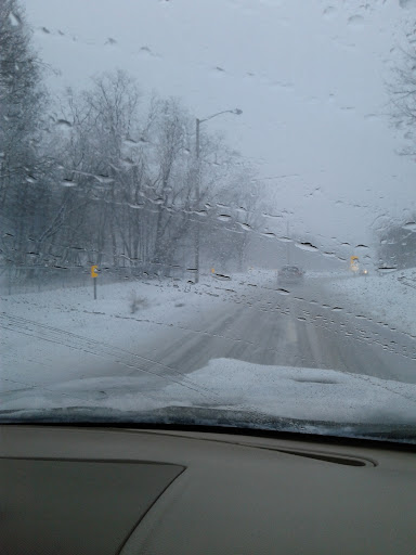 Dog Park «Waterman St. Dog Park», reviews and photos, 320 Waterman St, Providence, RI 02906, USA