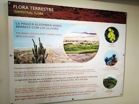 Centro de interpretación Mirador El Morro