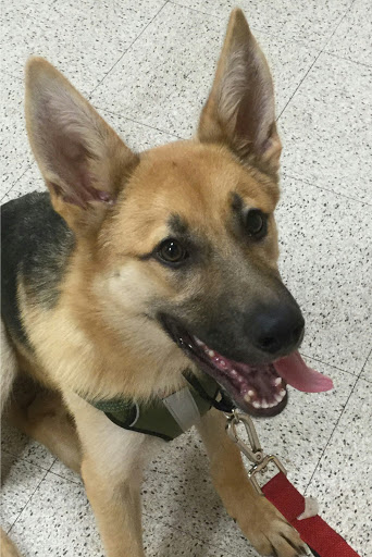 Pet Supply Store «PetSmart», reviews and photos, 1500 NJ-47, Rio Grande, NJ 08242, USA