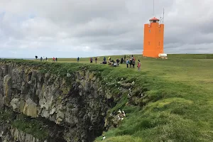 Ingólfshöfði Puffin Tour image