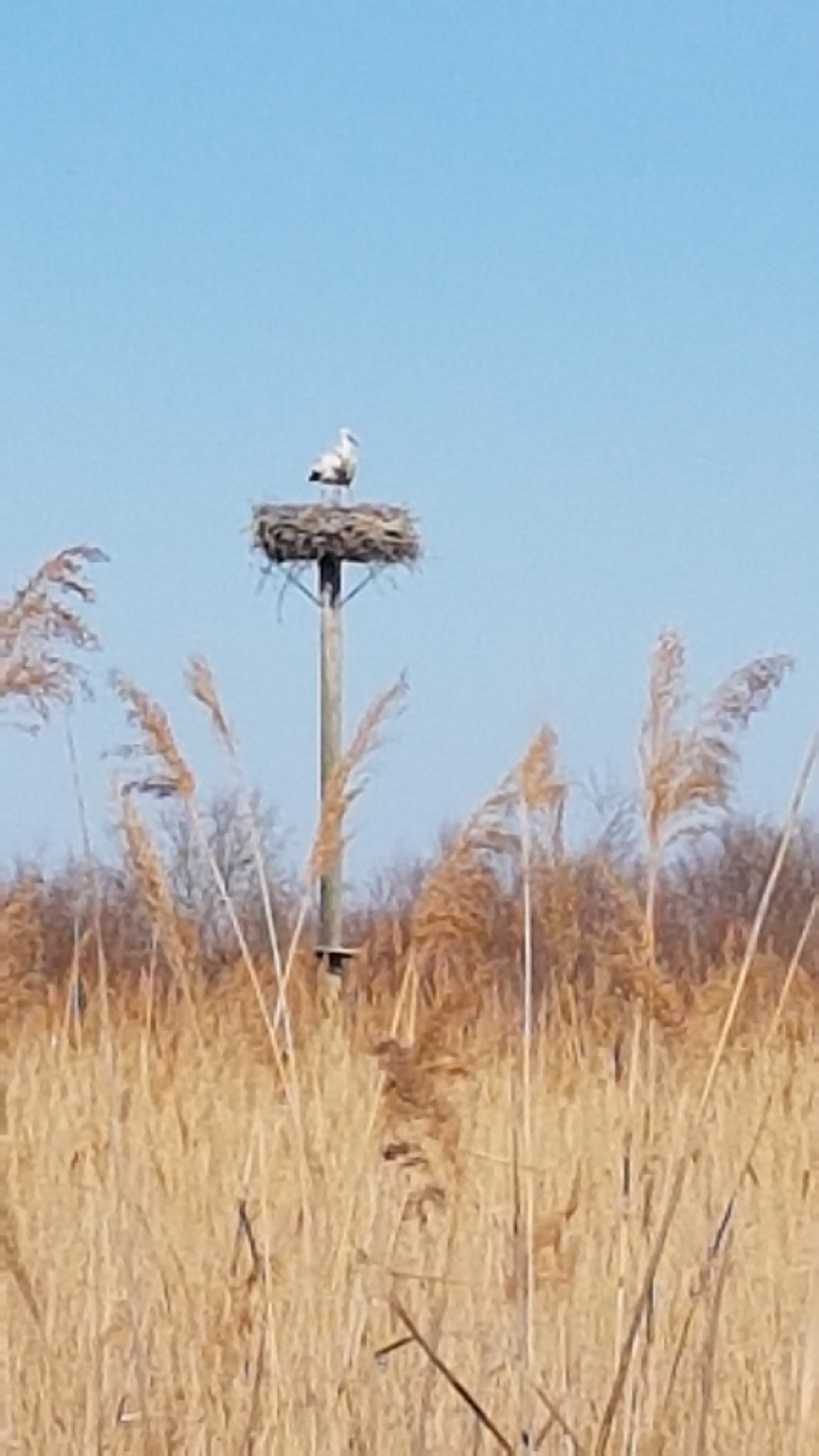 Photo n° 2 de l'avis de Yoni.o fait le 05/03/2019 à 17:47