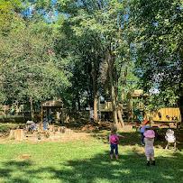 Charlottesville Waldorf School - Photo 6 - Car repair in Charlottesville, VA, Charlottesville