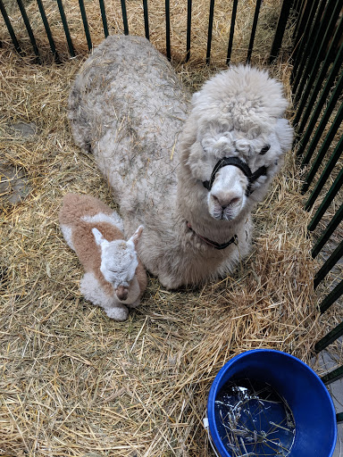 Museum «Marshall County Historical», reviews and photos, 808 E Johnson Ave, Warren, MN 56762, USA