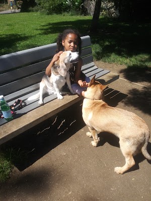 Wardlaw Park - photo 22
