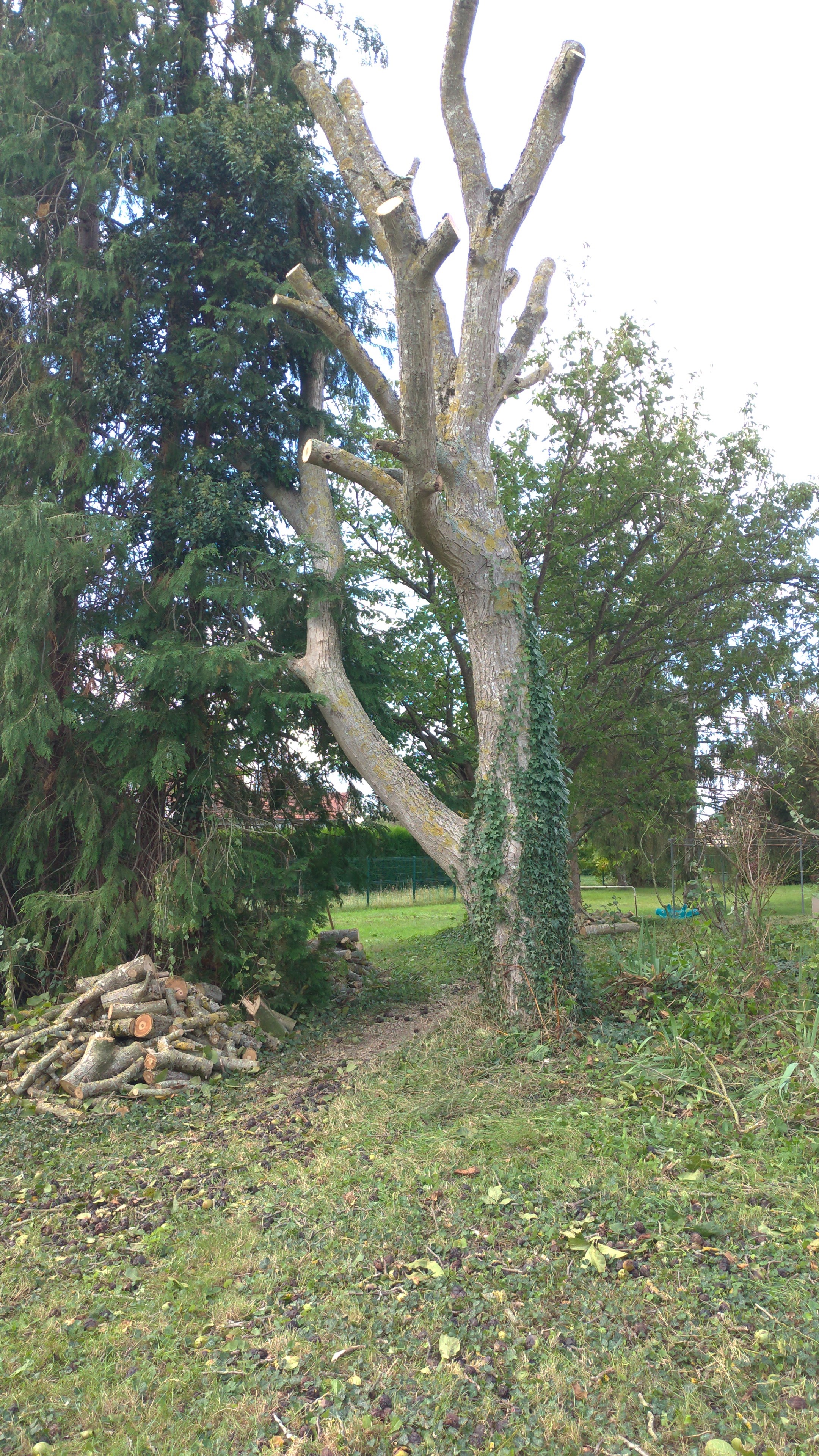 Photo n° 1 de l'avis de yves.a fait le 25/09/2023 à 14:12