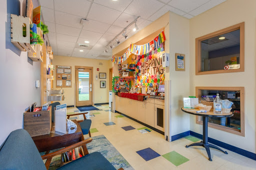Preschool «Bright Horizons at Tampa Palms», reviews and photos, 5171 Cypress Preserve Dr, Tampa, FL 33647, USA