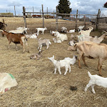 Photo n°5 de l'avis de Fabio.i fait le 13/03/2023 à 18:33 sur le  Podere Il Casale à Pienza