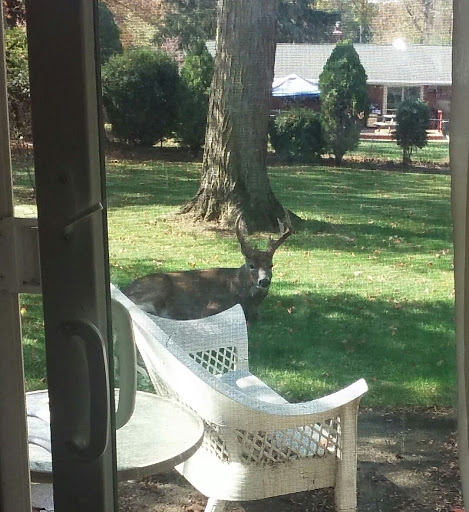 Park «North Olmsted Community Park», reviews and photos, 28114 Lorain Rd, North Olmsted, OH 44070, USA