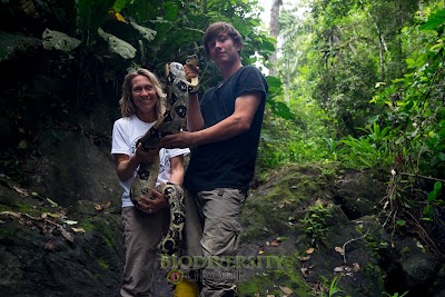 Photos of Jama-Coaque Reserve, Third Millennium Alliance