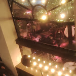 Photo n°2 de l'avis de G... fait le 16/01/2022 à 20:57 sur le  Dolce à Rome