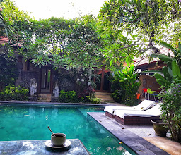 Villa Lotus photo