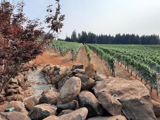 Winery «Christopher Bridge Wines», reviews and photos, 12770 S Casto Rd, Oregon City, OR 97045, USA