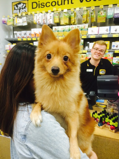 Dog shops in Melbourne