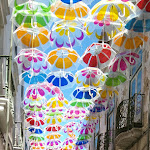 Photo n°3 de l'avis de Alcina.a fait le 01/07/2017 à 12:55 sur le  Os Infantes Restaurante à Beja