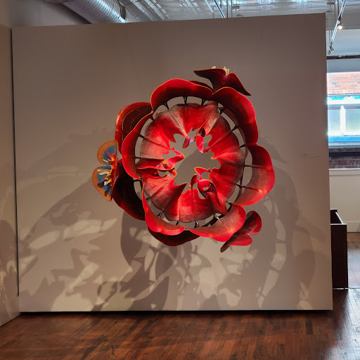 Art Center «Black Mountain College Museum + Arts Center», reviews and photos, 56 Broadway Street, Asheville, NC 28801, USA