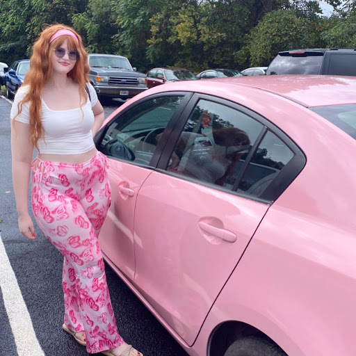 Auto Body Shop «Econo Auto Painting», reviews and photos, 8846 Kingston Pike, Knoxville, TN 37923, USA