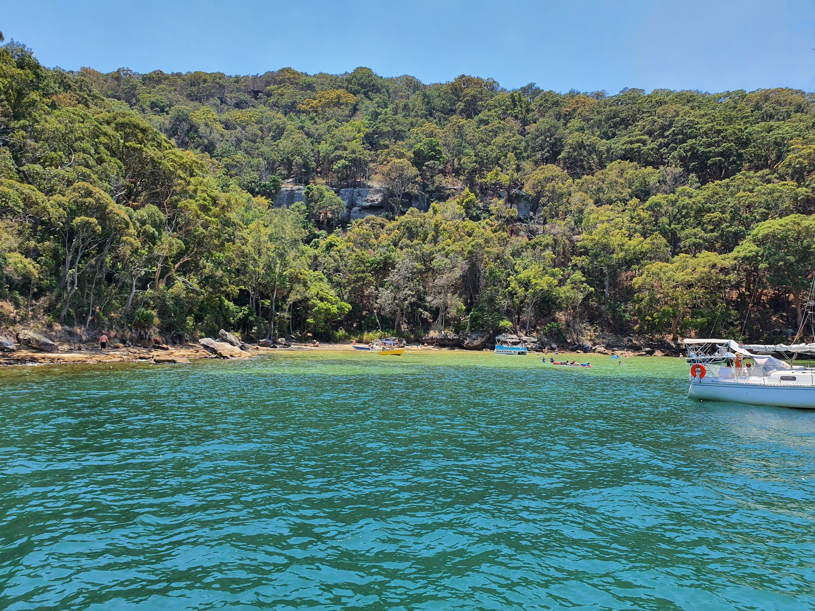 Portuguese Beach'in fotoğrafı vahşi alan