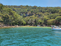 Portuguese Beach'in fotoğrafı vahşi alan